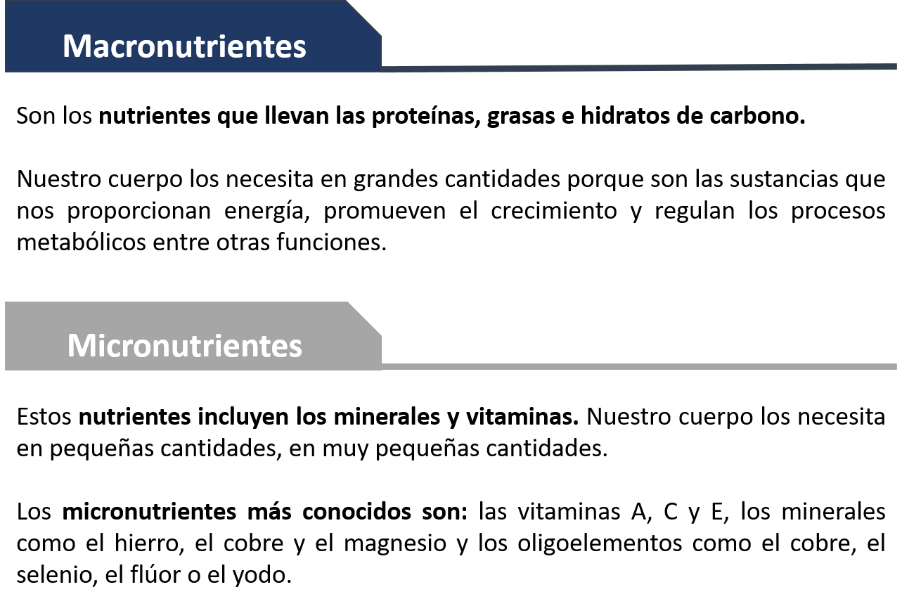 tipos